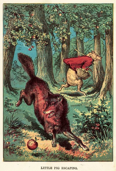 Maialino in fuga da English School